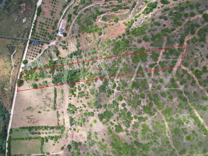 Image No.7-Terrain à vendre à Silves