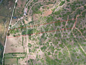 id2c499f01-0000-0500-0000-000015e1c48c