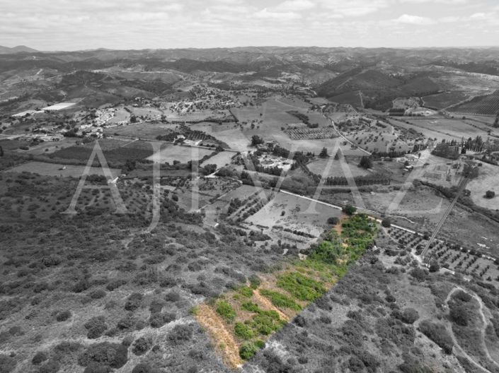 Image No.9-Terrain à vendre à Silves