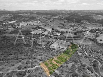 id2c499f01-0000-0500-0000-000015e1c4a4