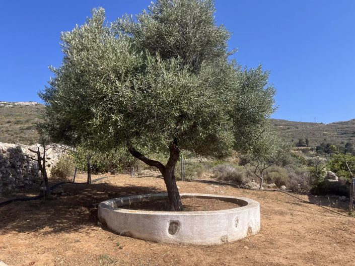 Image No.4-Maison de 1 chambre à vendre à Paros