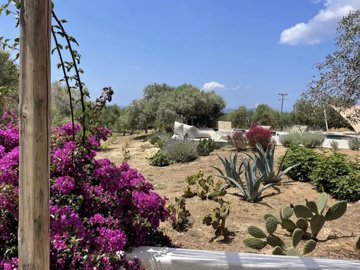 cb8ff77eeca49feed49cfc0307a5fc88e891bd78a2192