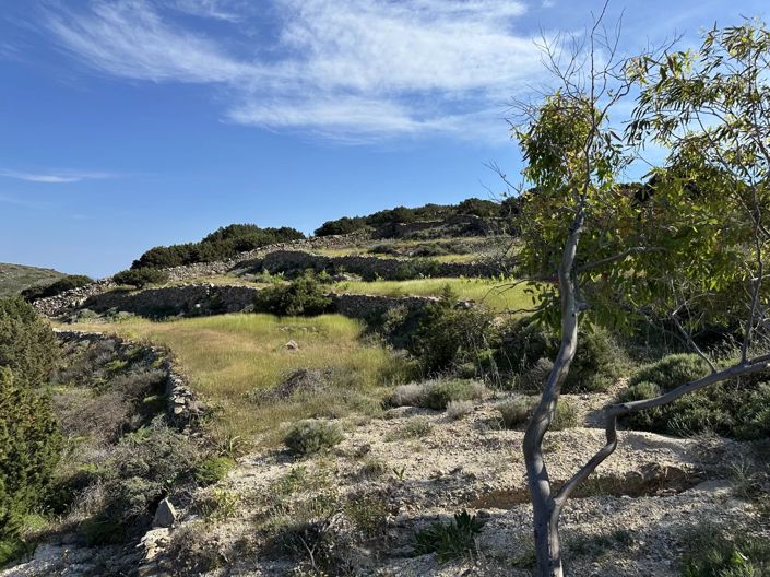 Image No.2-Terre à vendre à Paros