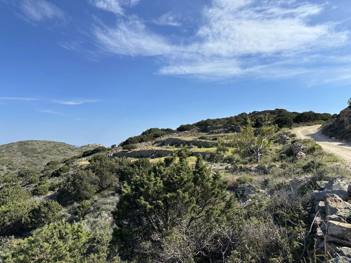 Image No.3-Terre à vendre à Paros