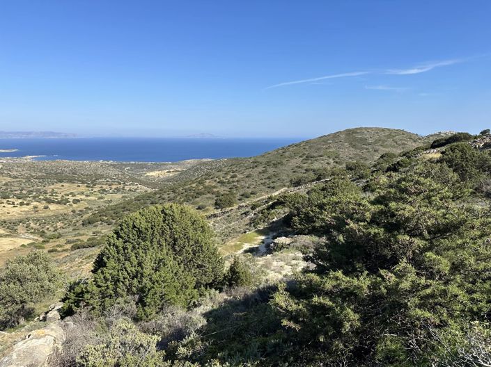Image No.4-Terre à vendre à Paros