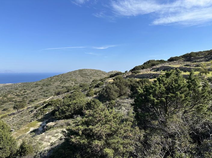 Image No.5-Terre à vendre à Paros