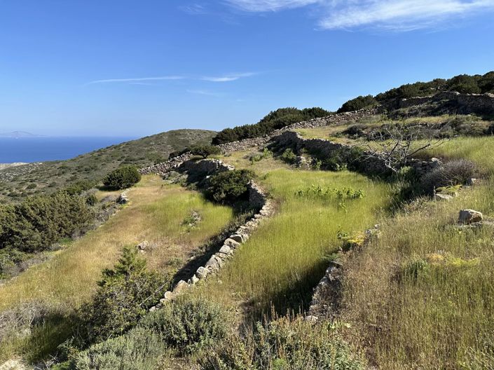 Image No.6-Terre à vendre à Paros