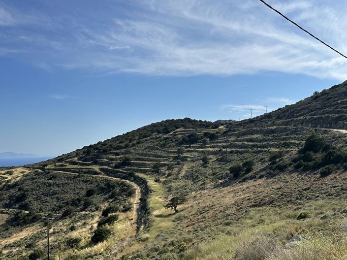 Image No.9-Terre à vendre à Paros