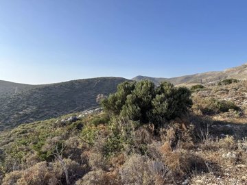 bafb14392ce7421e52234d807a5f28cfb63931001d192