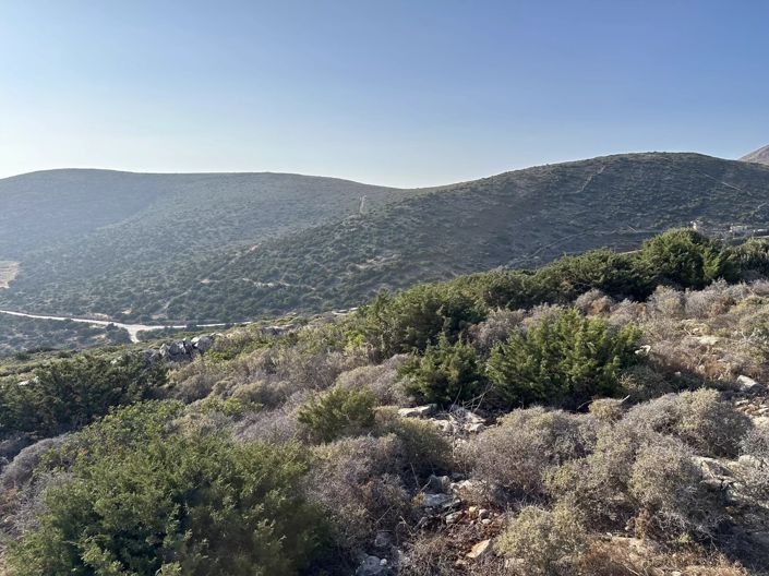 Image No.8-Terre à vendre à Paros