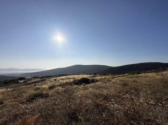 Image No.13-Terre à vendre à Paros