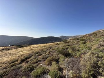 da429fa5246b34f45db51f6f19de3d13bb7decfff4192