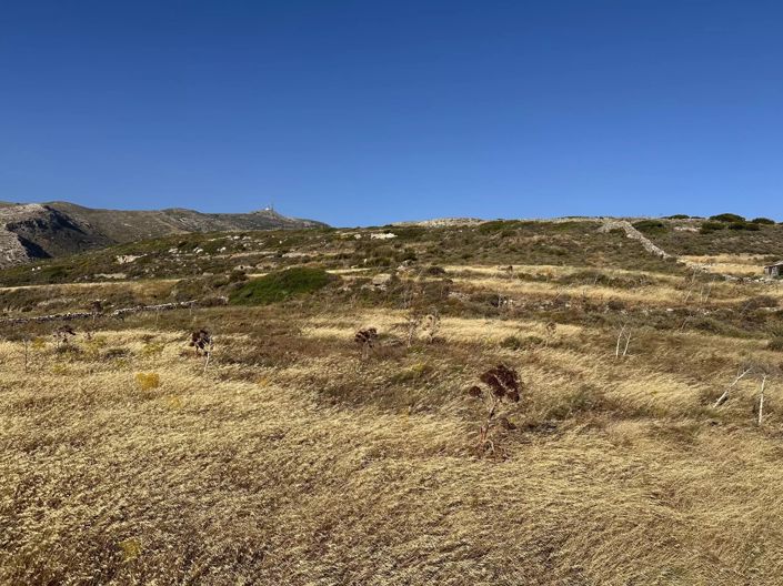 Image No.6-Terre à vendre à Paros