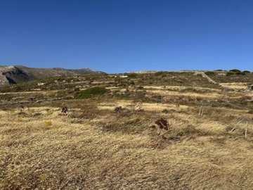 76f951b5f1ea71fbc67d25888e336faf3194a8fb66192