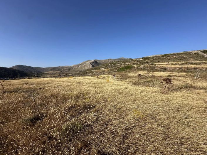 Image No.7-Terre à vendre à Paros