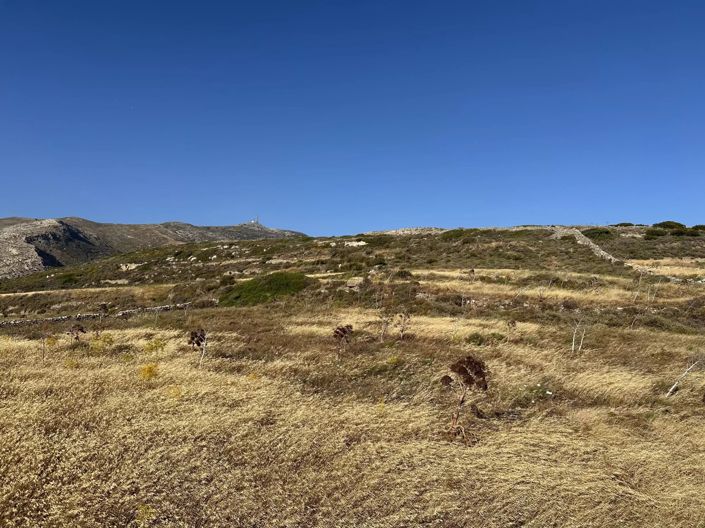 Image No.8-Terre à vendre à Paros