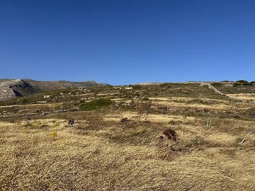 612f108dff9084e7f354767b8336c3d9abb09ed2bf192