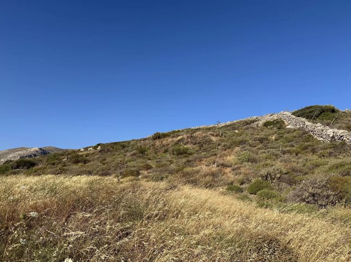 Image No.9-Terre à vendre à Paros