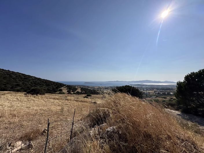 Image No.10-Terre à vendre à Paros