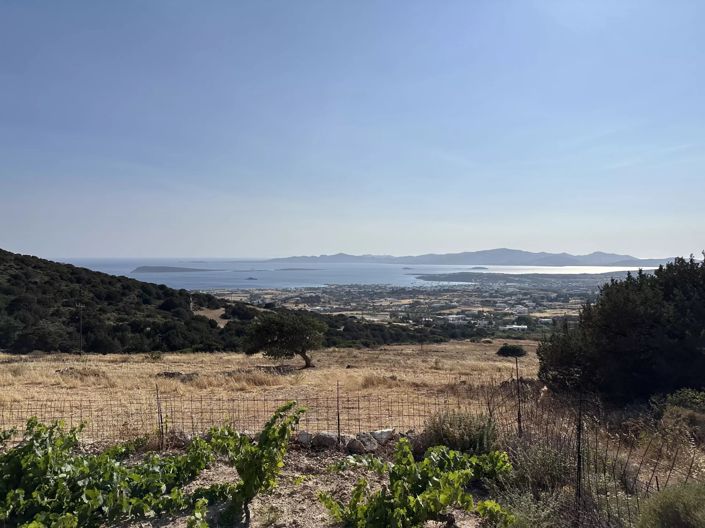 Image No.13-Terre à vendre à Paros