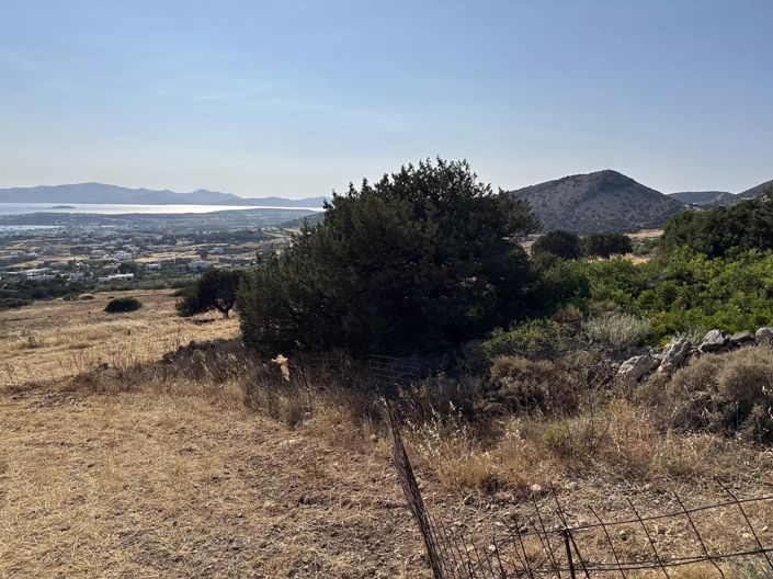 Image No.17-Terre à vendre à Paros