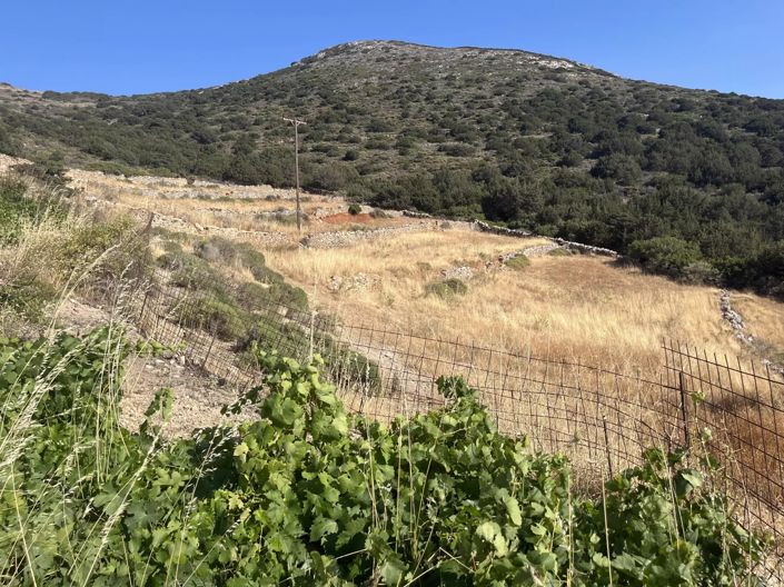 Image No.19-Terre à vendre à Paros