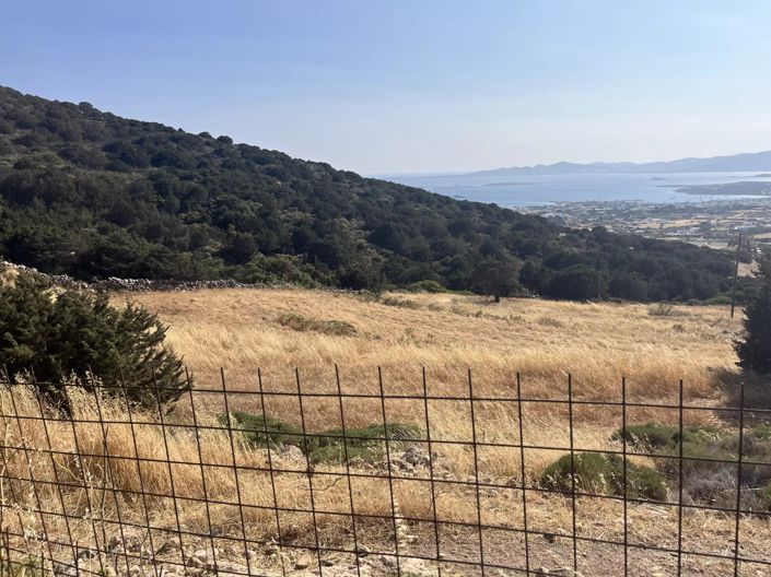 Image No.21-Terre à vendre à Paros