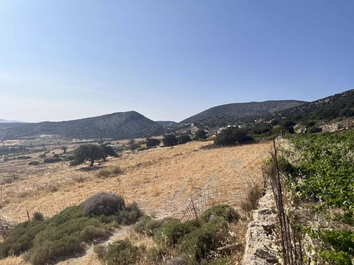 Image No.23-Terre à vendre à Paros