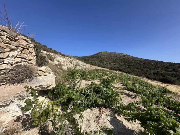 Image No.4-Terre à vendre à Paros