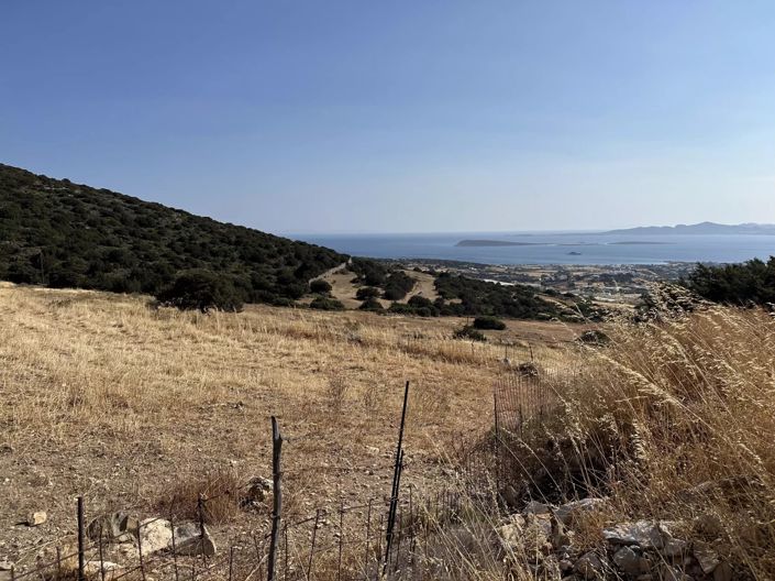 Image No.6-Terre à vendre à Paros