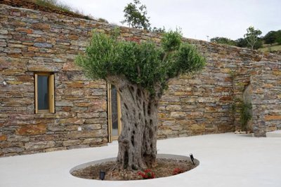 5289964aea35105bd2b3794e6ea776e19b6b3a9e2c128