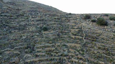 73bea8b394df8766068adedda92307063f182cc71d192