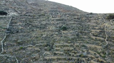 2ca28e53ac32e11ace11f79fdb09818f66b5ff526d192