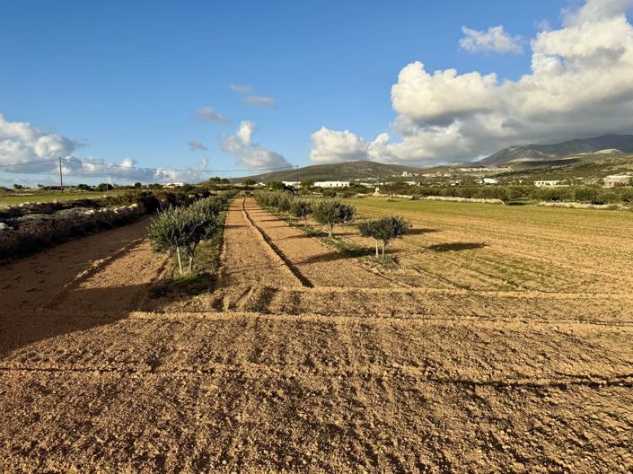 Image No.5-Land for sale