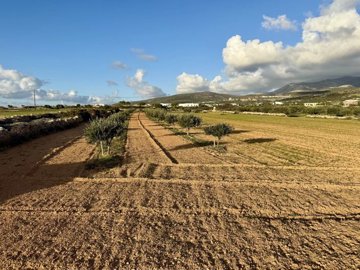 b1c08c52cc18982dd59faa346a6cd364ba03ea1b0a192