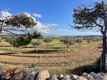 58c1fa3ede294197c8446e5e329a64bec5f40d9ead192