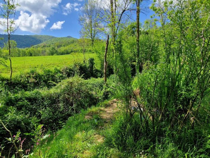 Image No.2-Maison de 3 chambres à vendre à Brassac