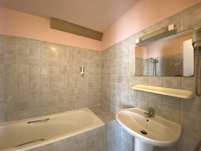 Image No.19-Maison de 20 chambres à vendre à Saint-Severin