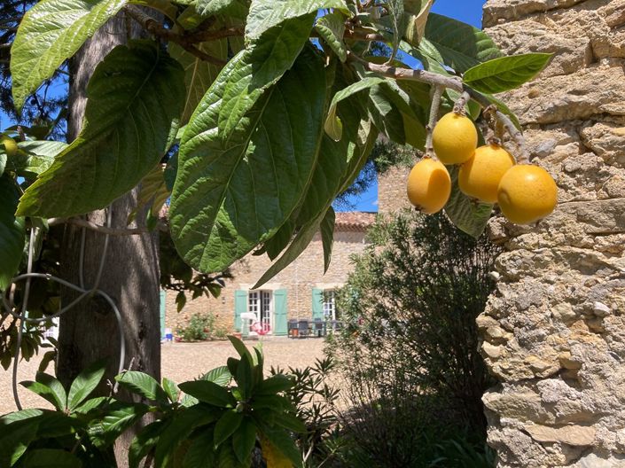 Image No.10-Maisonette de 18 chambres à vendre à Bagard