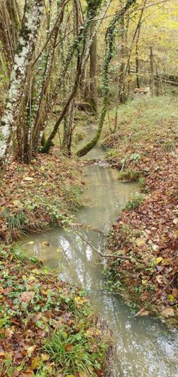 Image No.10-Propriété de 11 chambres à vendre à Ventenac