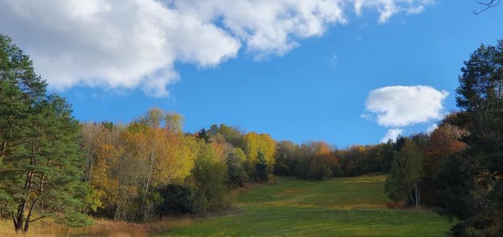 Image No.11-Propriété de 11 chambres à vendre à Ventenac