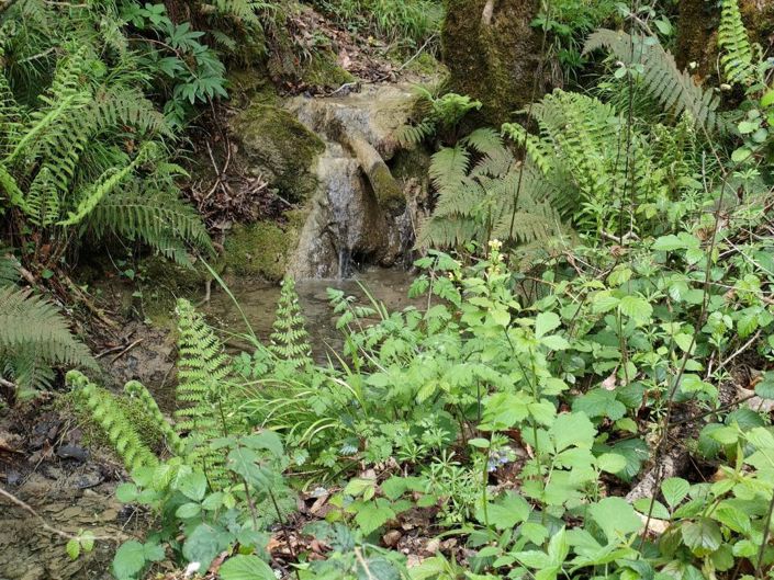 Image No.18-Propriété de 11 chambres à vendre à Ventenac