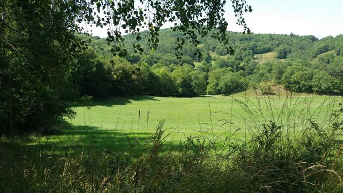 Image No.2-Propriété de 11 chambres à vendre à Ventenac