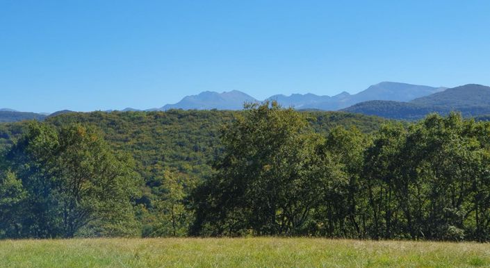 Image No.7-Propriété de 11 chambres à vendre à Ventenac
