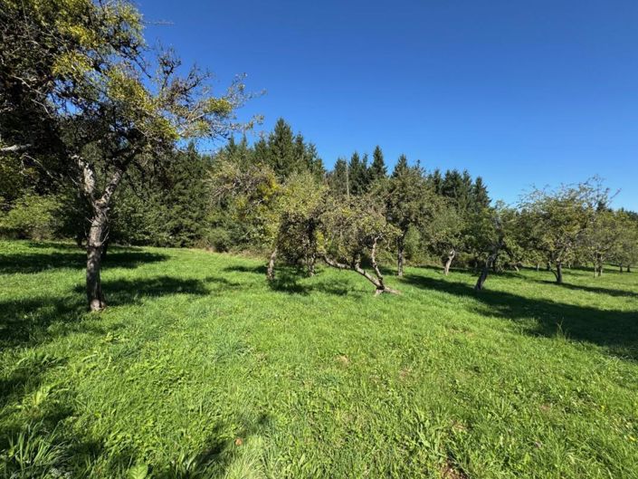 Image No.10-Propriété de 3 chambres à vendre à Montsalvy