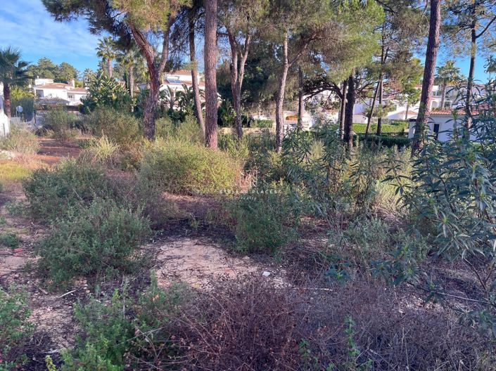 Image No.2-Plot for sale