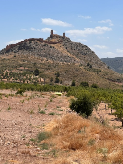 Image No.4-4 Bed Plot for sale