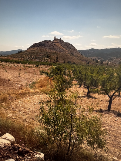 Image No.13-4 Bed Plot for sale