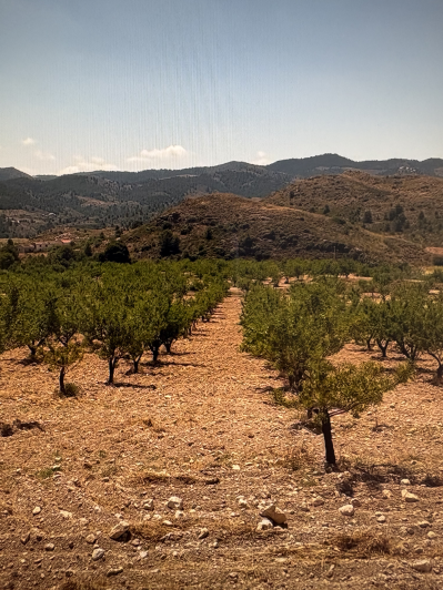 Image No.14-4 Bed Plot for sale