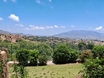 13-5fd73dea700db77384c091ca9818b1a9